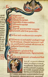 MS.Lat.6912 Illuminationen aus Band 2 des Continens von Rhazes über Augenheilkunde und Augenkrankheiten, 1282